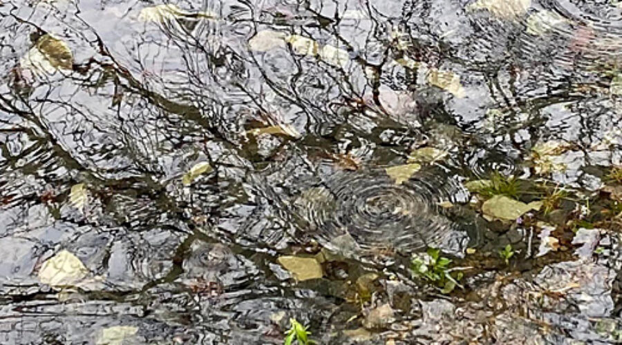 Creek droplets
