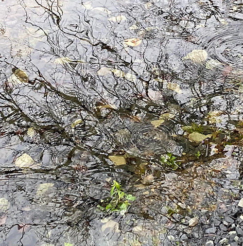 Creek droplets