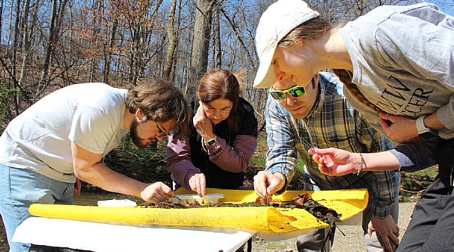 Volunteers search the collection net