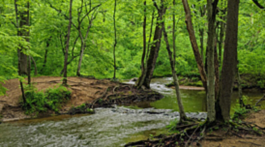 scenic creek