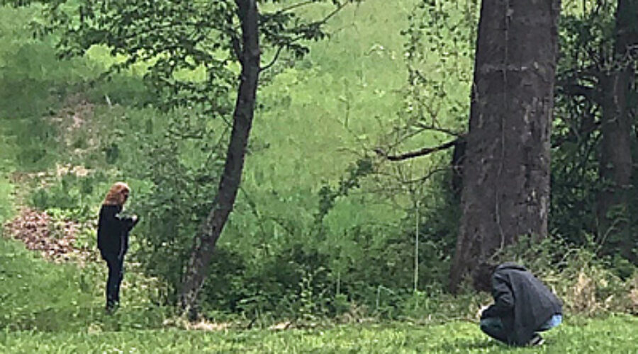Writing in Nature participants