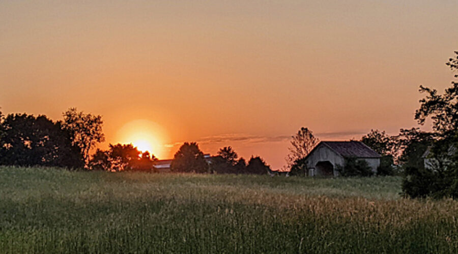 sunrise