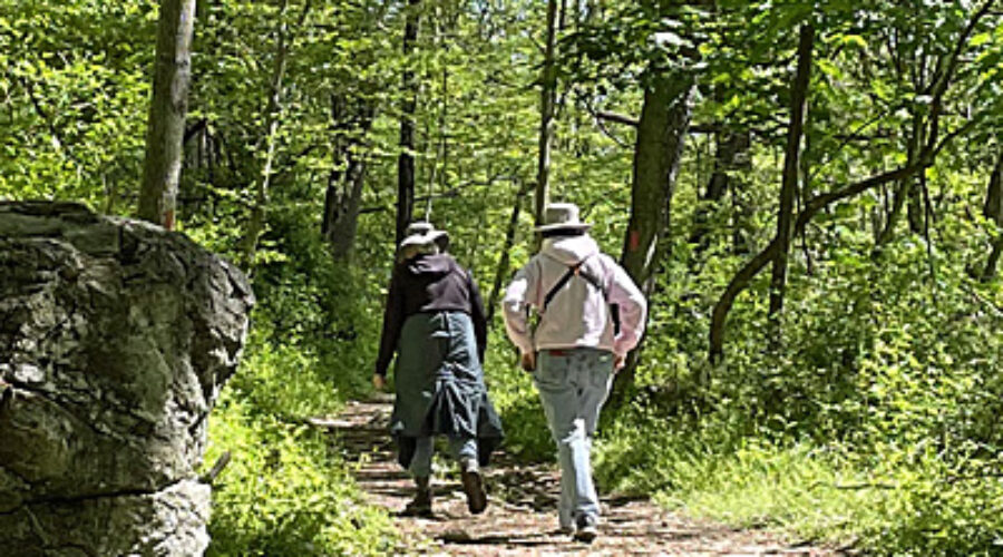 Larkolinks on the trail