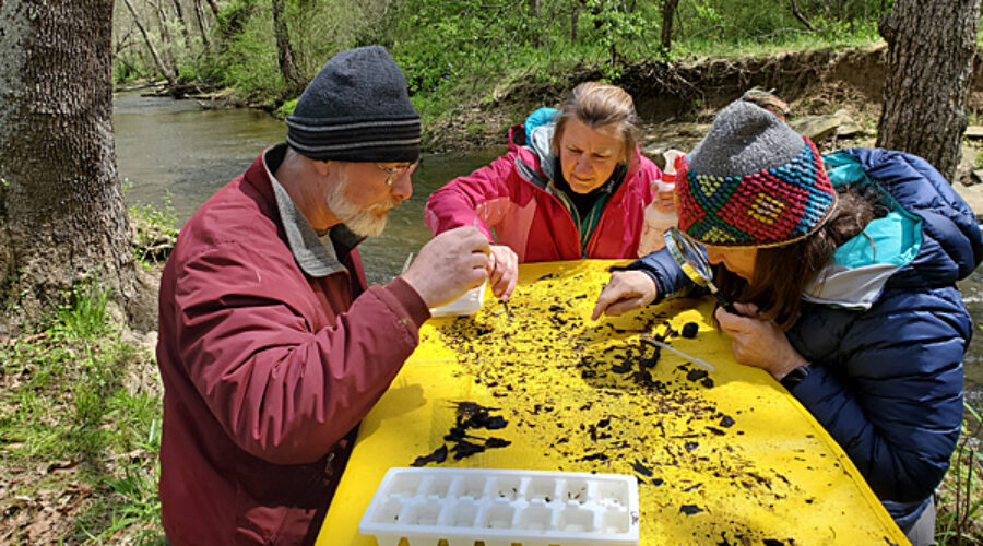 Stream Team members at creek