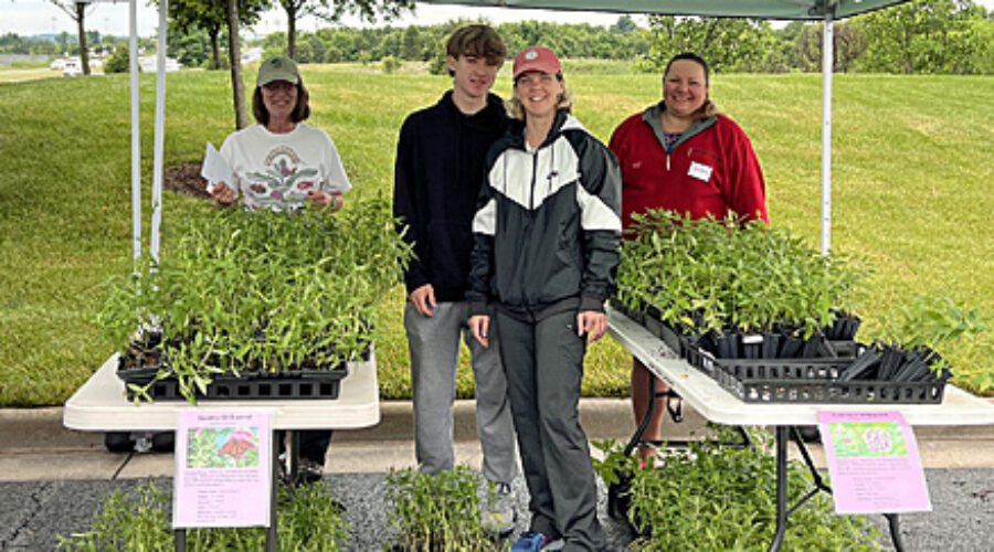 Milkweed sale at NWFCU