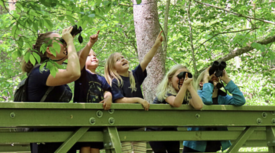 Birdathon team