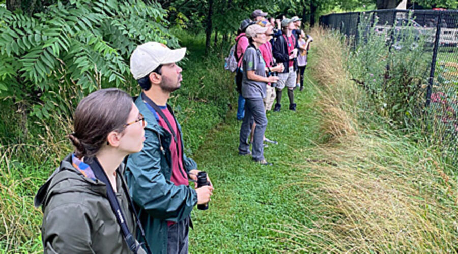 Group of birders at Banshee