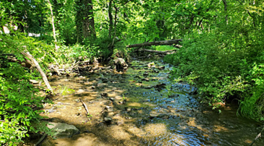 Round Hill stream monitoring site