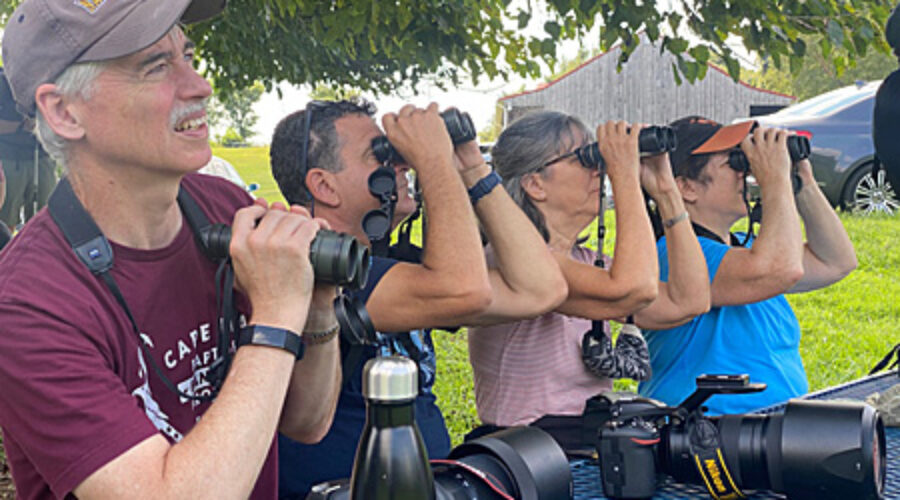 Birders at Blue Ridge Center