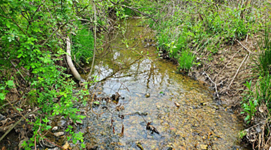 JK Black Oak Downstream Site