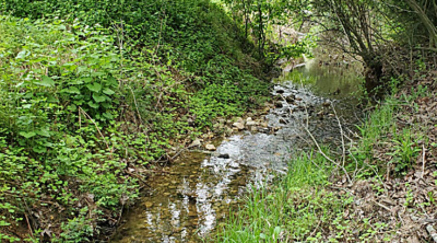 JK Black Oak Upstream Site