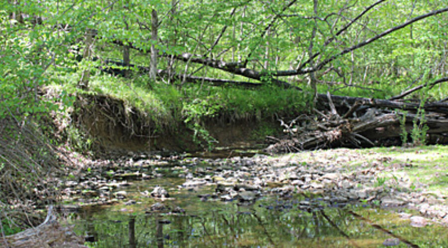 Black Branch Site