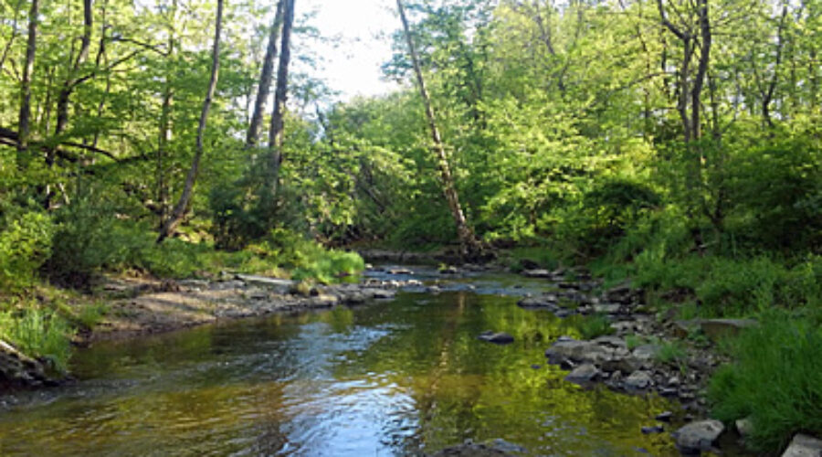 Crooked Run Downstream Site