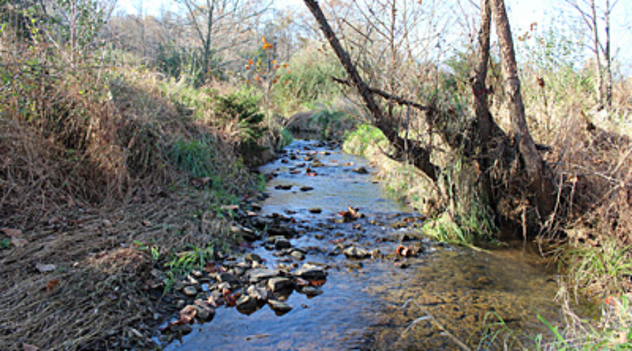 Dry Mill Branch Site