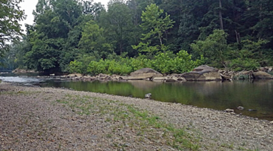 Goose Creek Site