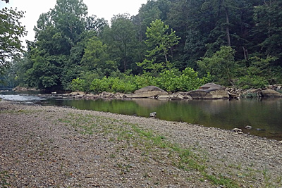 Goose Creek Site
