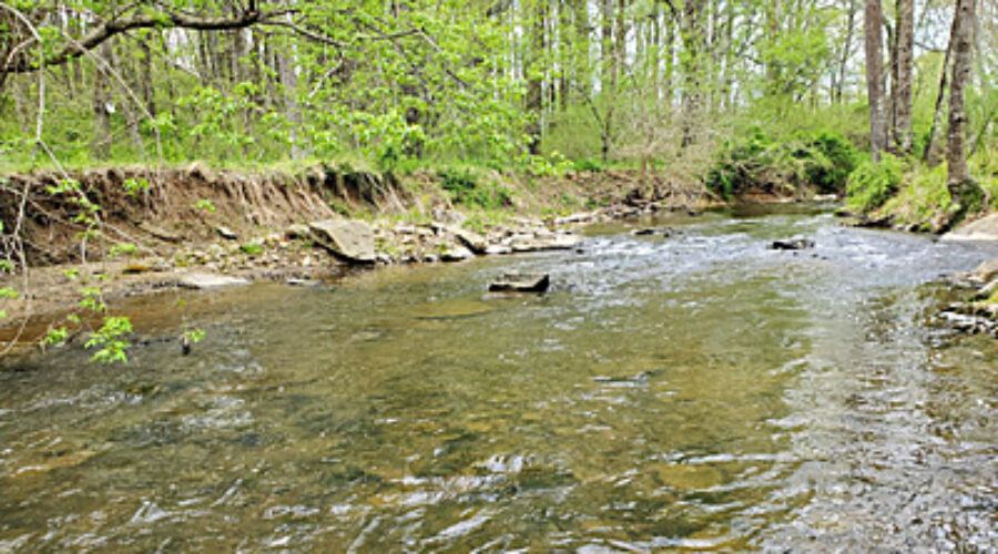 North Fork Catoctin Downstream