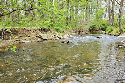 North Fork Catoctin Downstream