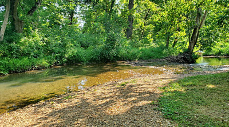 Tuscarora Creek, IWL Park site