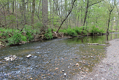 Tuscarora Creek, W&OD site