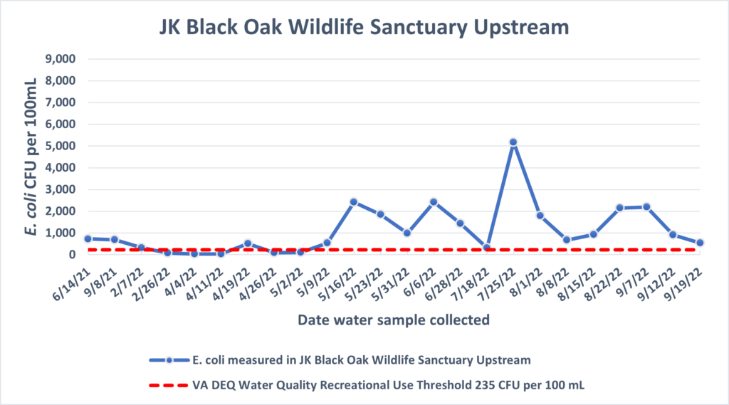 JK Black Oak Wildlife Sanctuary Upstream