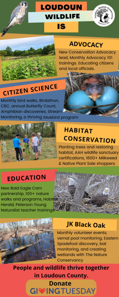 Giving Tuesday is November 29 - Loudoun Wildlife Conservancy