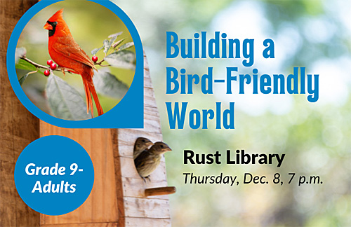 Building A Bird-Friendly World