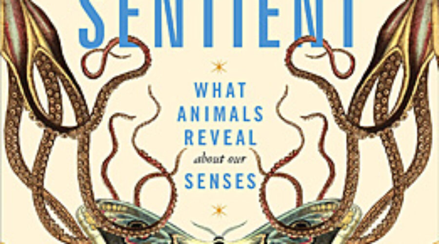 Cover of Sentient