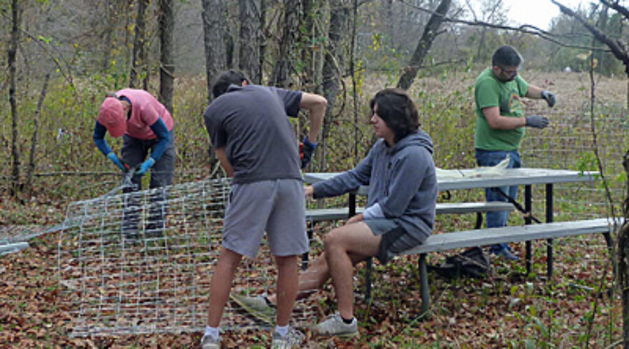 volunteers making cages