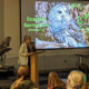 Learning About a Year in the Life of an Owl