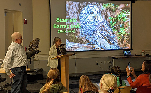 Owl presentation