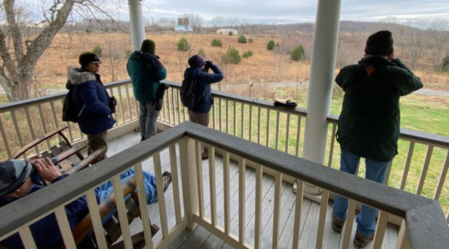 Birders on porch at Banshee Reeks