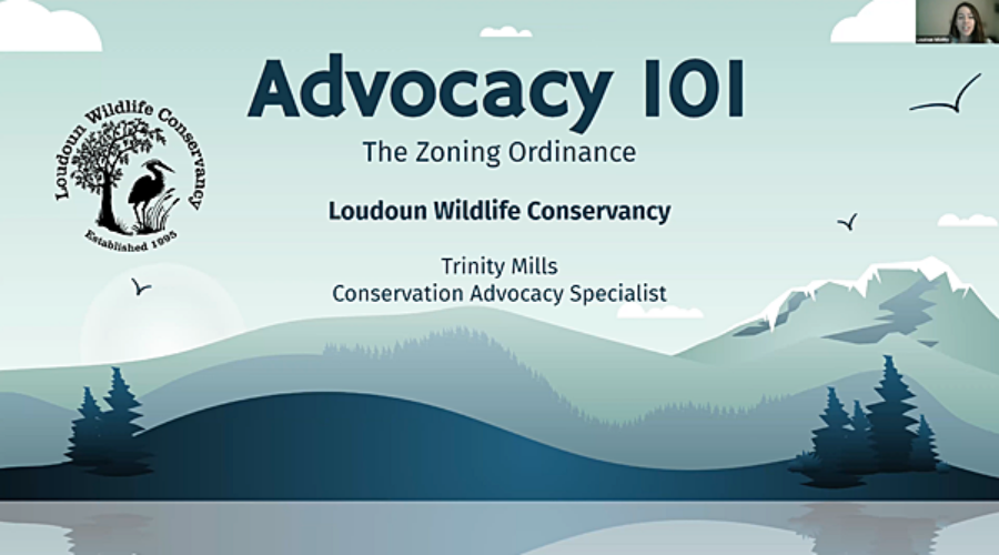 The Zoning Ordinance Rewrite presentation