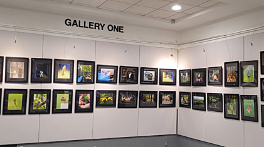 Photo exhibit at Loudoun County Government Center