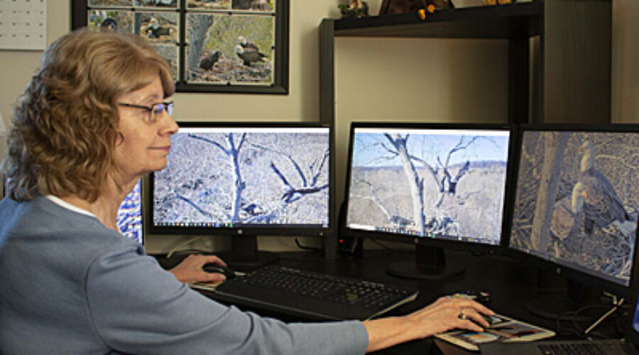 Volunteer Cindy Bertholdt