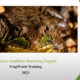Amphibian Monitoring Training 2023