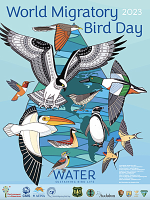 World Migratory Bird Day poster