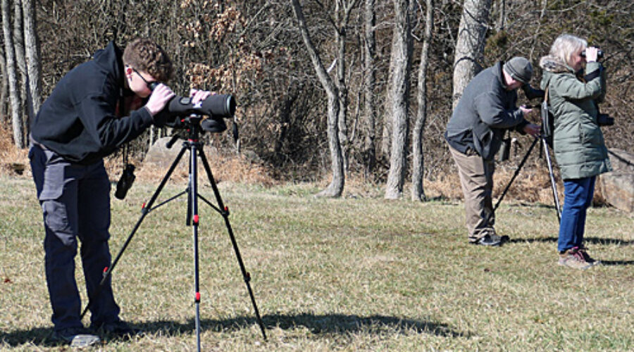Looking for waterfowl