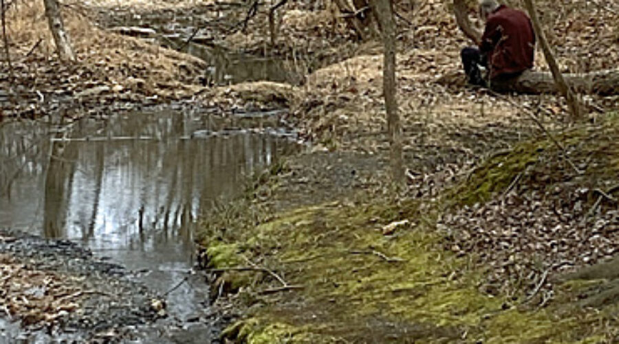 Writing in Nature