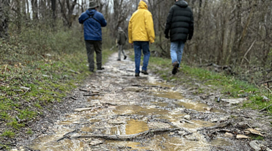 Walking the muddy path