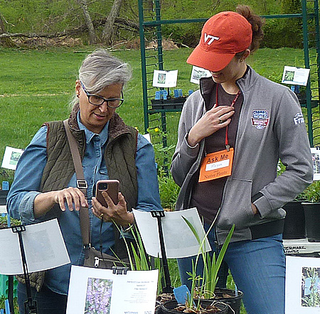 A volunteer gives advice on native plants.