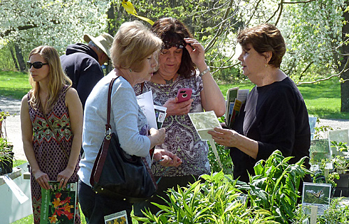 Group at Spring Native Plant Sale