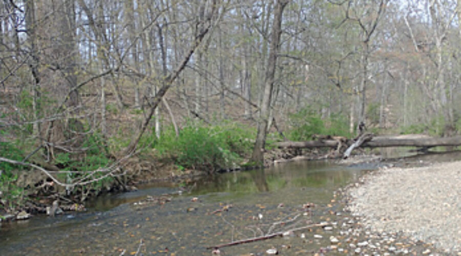Tuscarora Creek