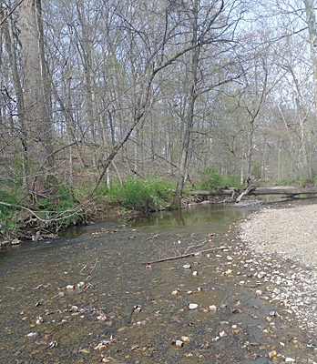 Tuscarora Creek