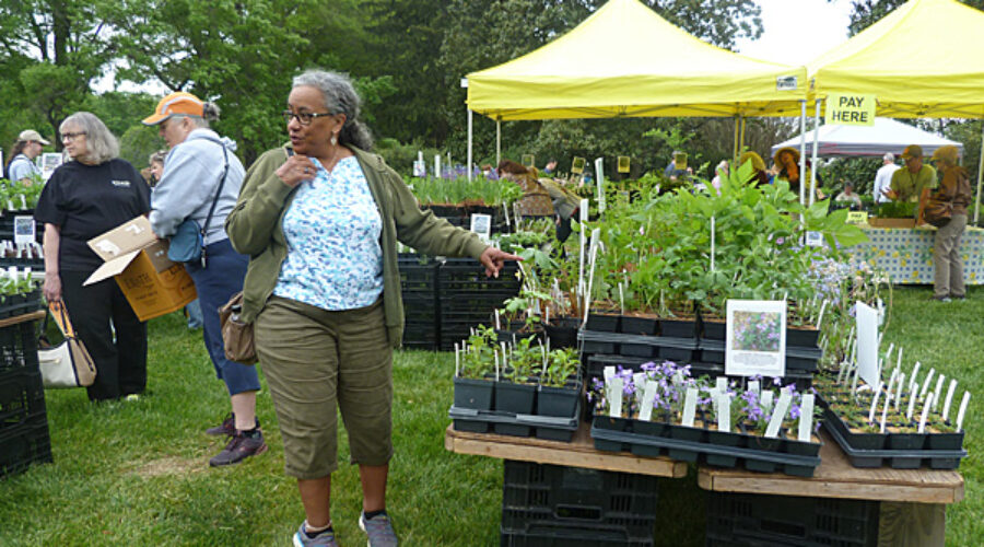 Woman pointing at plants
