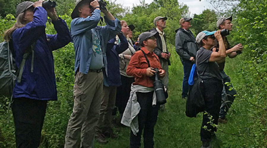 Birders at Banshee Reeks