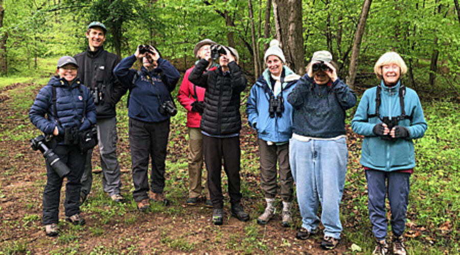 group of birders at Camp Highroad