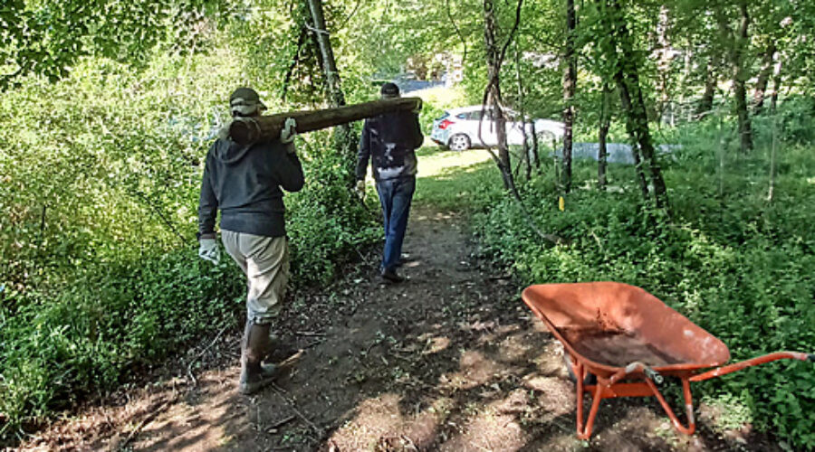 Hauling 10 foot pole