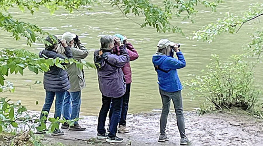 Larkolinks Birdathon Team