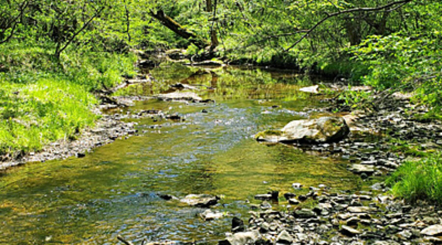 Piney Run monitoring site